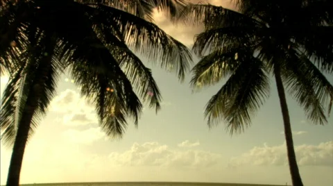 Sunsets Stock Footage 288296