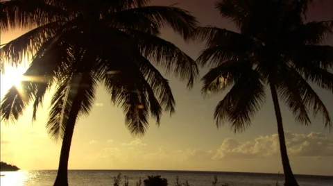 Sunsets Stock Footage 288303
