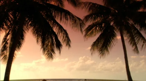 Sunsets Stock Footage 288313