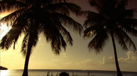 Sunsets Stock Footage 288319