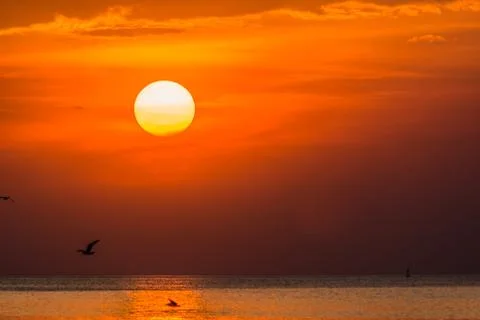 Sunsets Stock Photos