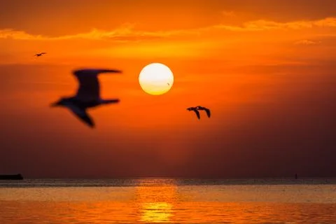 Sunsets Stock Photos