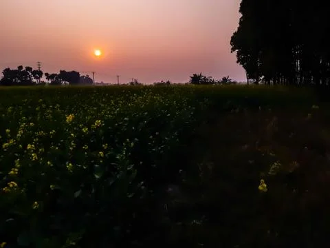 Sunsets Stock Photos