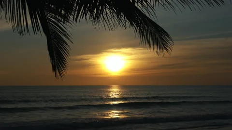 Sunsets reflection on the beach coconut tree background. Stock Footage 155728064