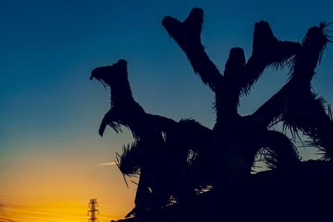 Sunsets in Tehachapi. Stock Photos