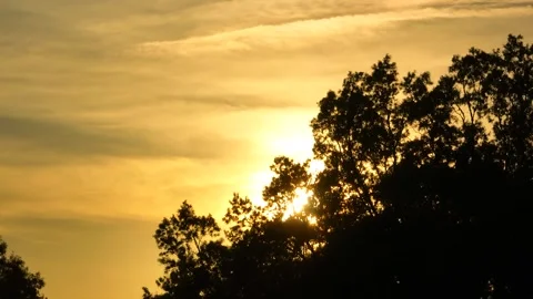 Sunsetting behind trees against golden sky with whispy clouds Video stock 309115458