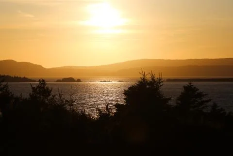 Sunsetting over the ocean with silhouette of the trees Stock Photos