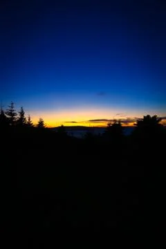 Sunsetting over the ocean with silhouette of the trees Stock Photos