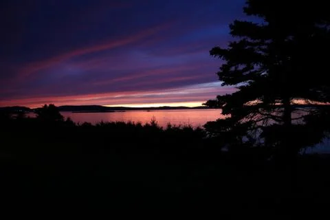 Sunsetting over the ocean with silhouette of the trees Stock Photos