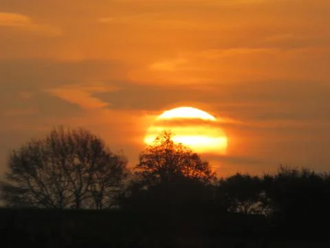 Sunsetting over trees Stock Photos