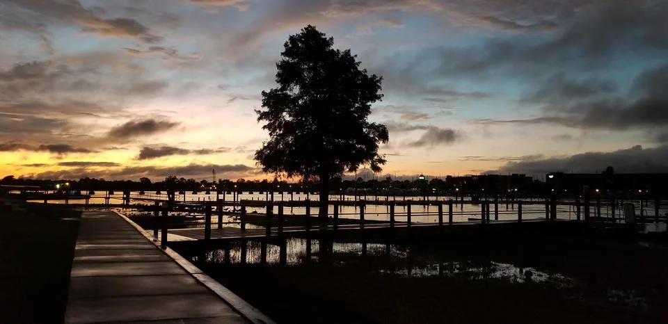 SunsetTree Stock Photos