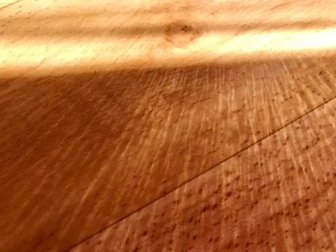 Sunshade on the floor. Stock Photos