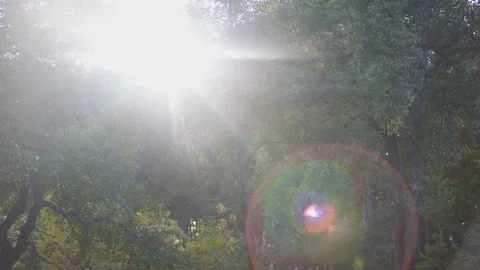 Sunshine-02-4k Stock Footage 101955364