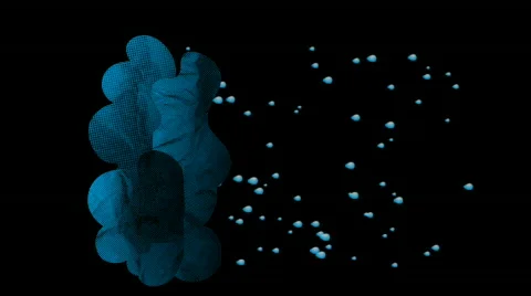 Sunshine after Rain Stock Footage 521642