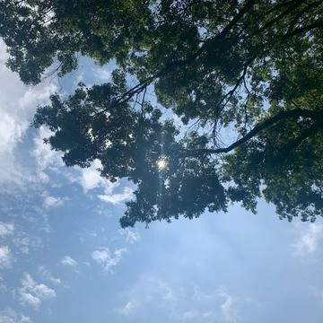 Sunshine in the Air Foto stock