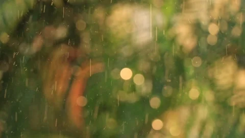 SUNSHINE AND RAINS Stock Footage 302205606