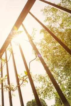 Sunshine beyond railing bars. Stock Photos