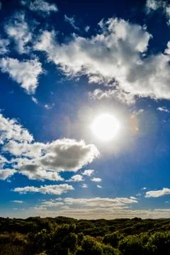 Sunshine with blue sky Stock Photos