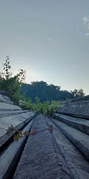 Sunshine Blushed Stock Photos