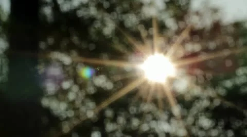 Sunshine Bokeh 1 Stock Footage 22097190