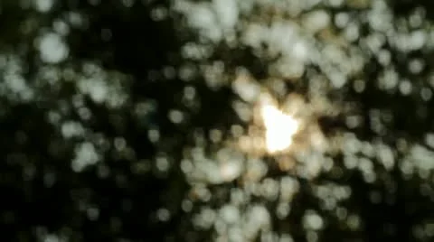 Sunshine Bokeh Slider Shot2 Stock Footage 11237762