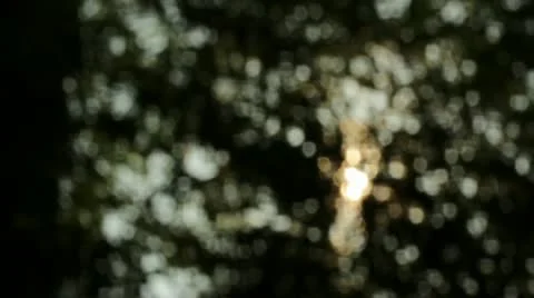 Sunshine Bokeh Slider Shot3 Stock Footage 11237772