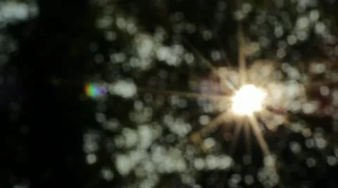 Sunshine Bokeh2 Stock Footage 11237812