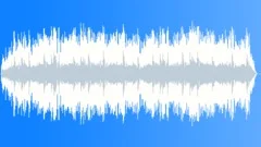 Sunshine Carousel Stock Music