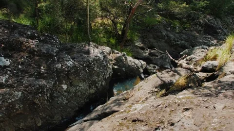 Sunshine Coast Forest Park Small Running Stream and Pond Stock Footage 152681402