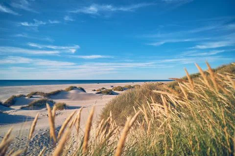 Sunshine at danish beach Stock Photos