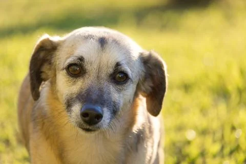 Sunshine day Stock-Fotos