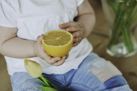 Sunshine Delight Stock Photos