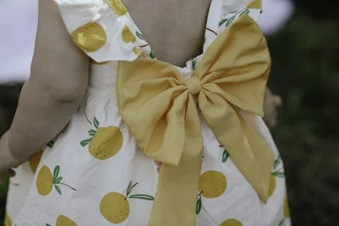 Sunshine Delight Stock Photos