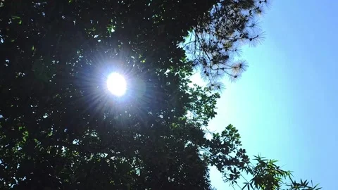 Sunshine during summer Stock Footage 286856336