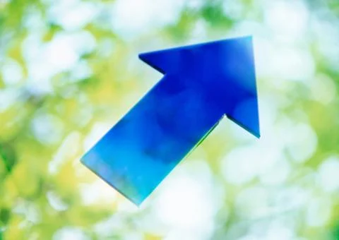 Sunshine filtering through foliage and a arrow pointing up 스톡 일러스트
