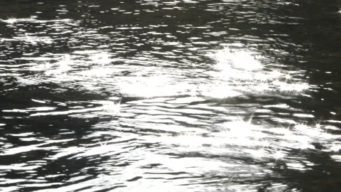 Sunshine Off Flowing River Water Rack Focus Stock Footage 318045727