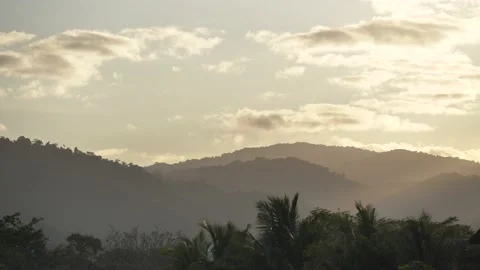 Sunshine in the forest Video stock 204847589