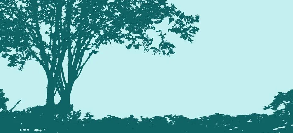 Sunshine in the forest Stock Illustration