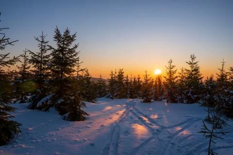 Sunshine on a hiking path in the mountains in winter Stock Photos