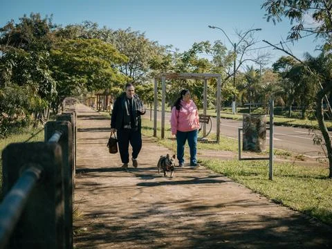 Sunshine illuminates a park path Foto stock