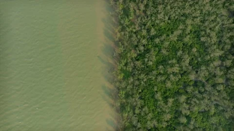 Sunshine on Lam river - Vinh - Nghean - Vietnam Stock Footage 239828053