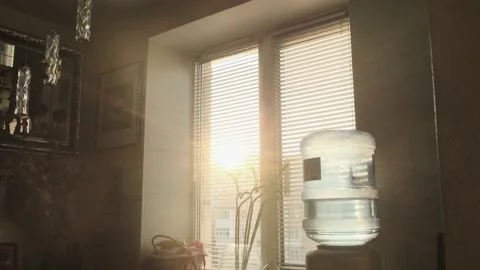 Sunshine leaks and lens flare through j... Stock Video Pond5