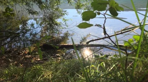 Sunshine Leaves Mountain Lake Stock Footage
