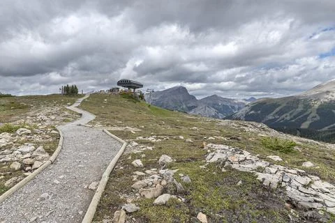 Sunshine Meadows in the High Alpine Stock Photos