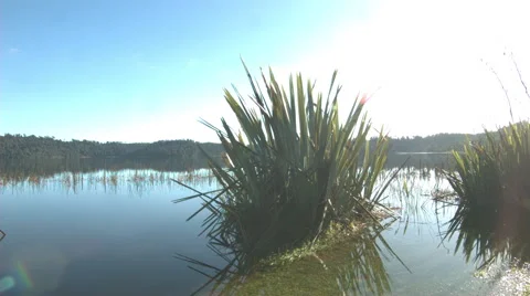 Sunshine over empty Lake Stock Footage 63913713