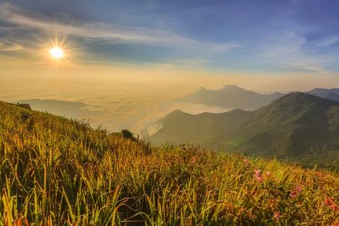 Sunshine Stock Photos