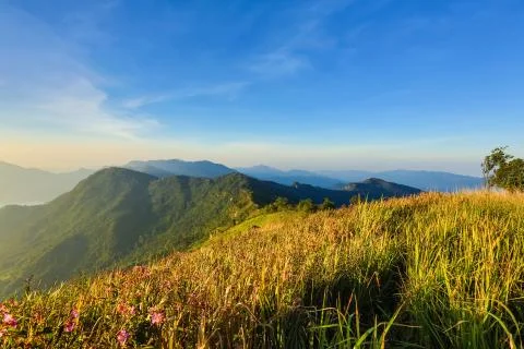 Sunshine Stock Photos