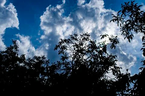 Sunshine Stock Photos