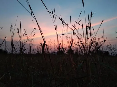 Sunshine Stock Photos