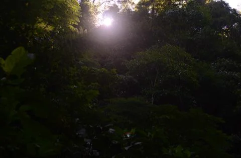 Sunshine Stock Photos